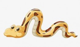 花蛇动漫在线观看,在线观看，畅享视觉盛宴